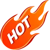 a logo with flames on it