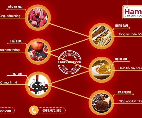 thành phần kẹo sâm Hamer là gì