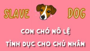 Slave Dog Là Gì? Những Điều Cần Biết Về Slave Dog