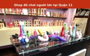 shop nguoi lon tai quan 11